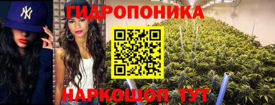 стафф Балаково